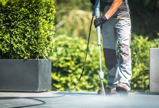 Best Patio and Deck Pressure Washing  in Wharton, NJ